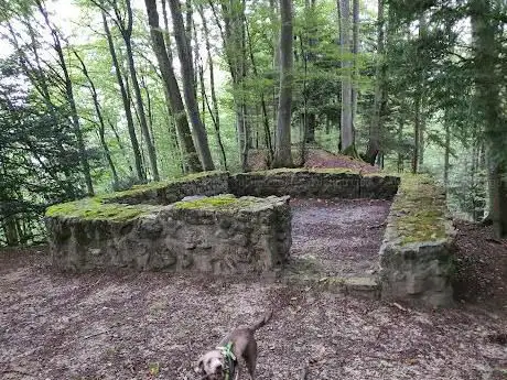 Photo de Burgruine Kindhausen