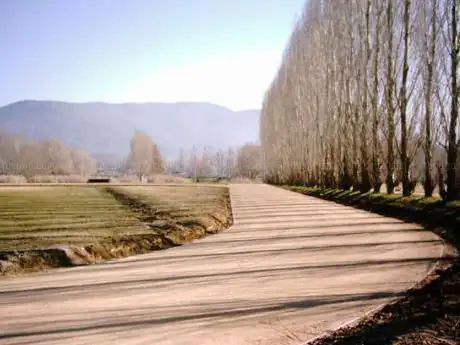 Pista d'atletisme de la Draga