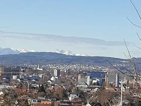Ponyreiten Zürich