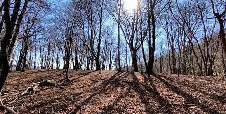 Monte Colmegnino