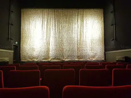 Cinema Cameo