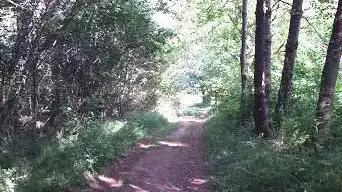Ackersberg Nature Reserve