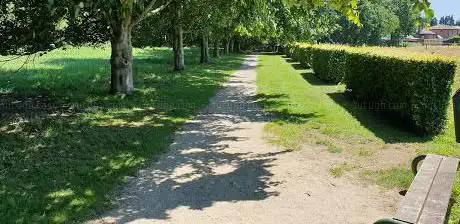 Photo de Wijngaertsveld