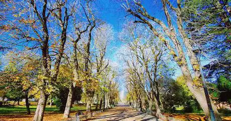 Photo de San Antonio Park