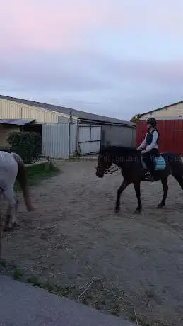 Photo de CENTRE EQUESTRE ARCHE EQUILOISIRS