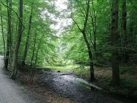 Vallon des 3 fontaines