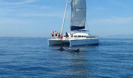 Photo de Tosailboatexperience | Boat tour in Marbella  Estepona & Canary Islands