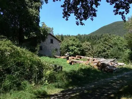 Photo de C. Oia