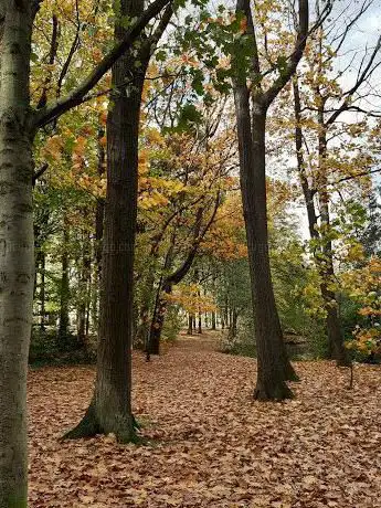 Photo de Gemeentepark van Boom