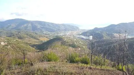 Photo de Ps Manierta