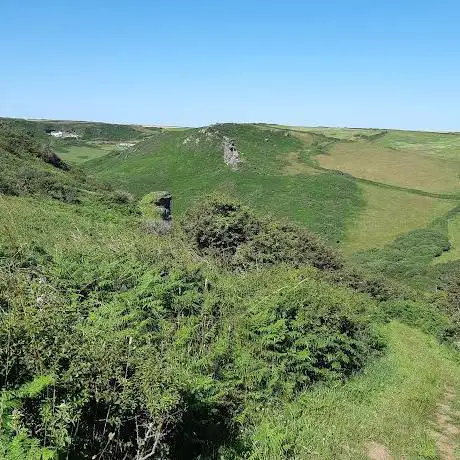 Bolberry Down Devon