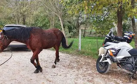 Photo de Scuderie Horse Jumping