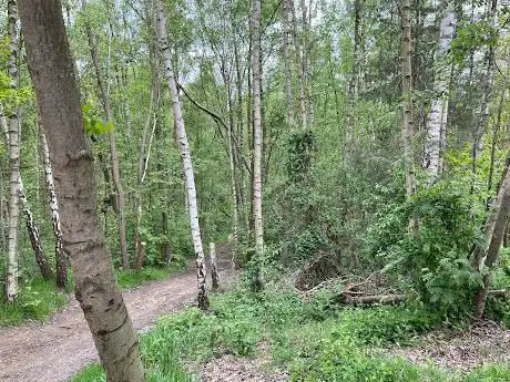 Skiberg