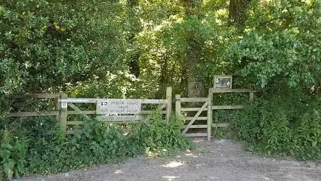 Uppacott Wood