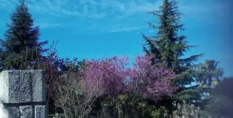 Photo de Campos Del Cid Jovellanos