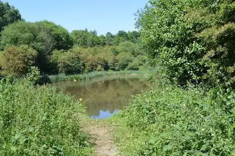Photo de Toad Holes Beck
