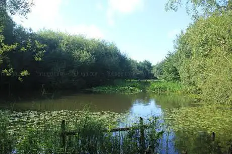Photo de Bunchleys Nature Reserve
