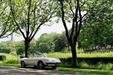 OLDTIMER VERHUUR - Autentico Classics