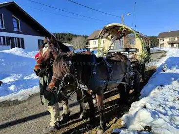 Photo de La Calèche des Chauvins