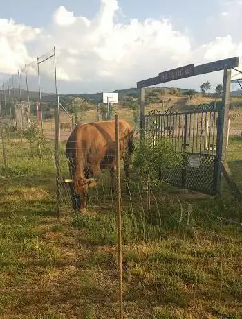 Photo de Polideportivo