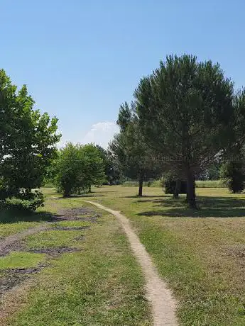 Parco Calisthenics & Street-WorkOut