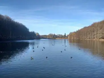 Photo de Park van Tervuren