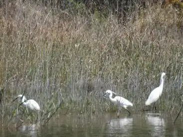 Sentier l'Homme et la Nature Espace Jésus Veiga