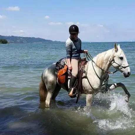 Naturel Dressage