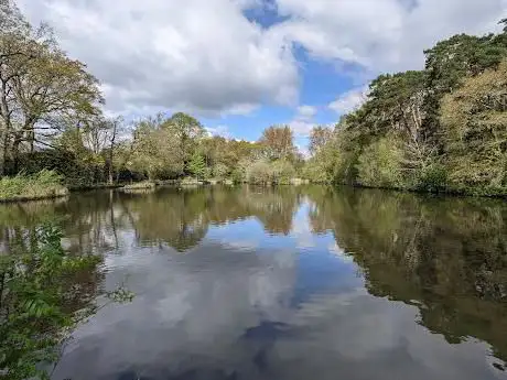 Hiltingbury Lakes