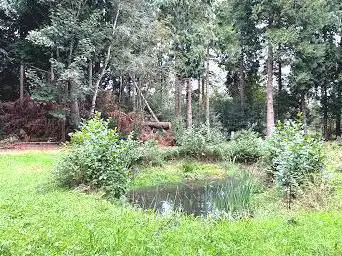 Koekelare Bos