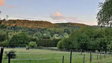 Aigrefoin Woods