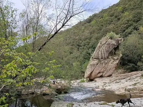 Photo de CamÃ­ dels Carboners