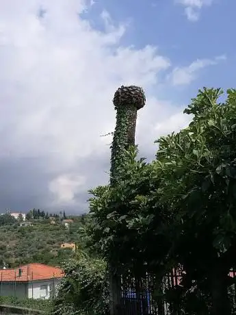Phallic Tree