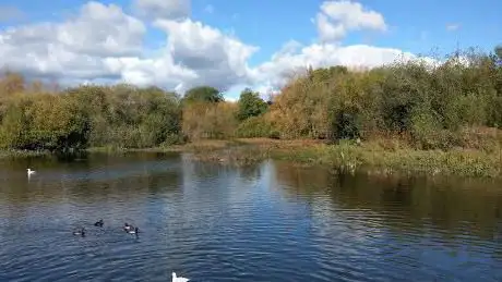 Bishop's Waltham Pond