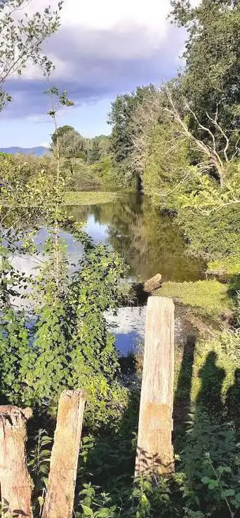 Baggerloch Zusenhofen