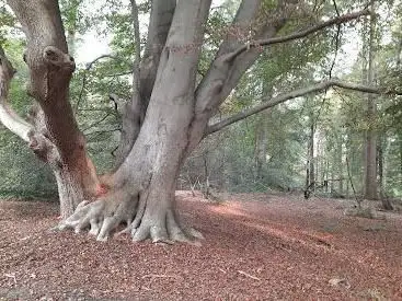 Staatsbosbeheer - Werkschuur Ommen
