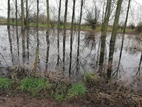Photo de Welkom in de Kalkense Meersen
