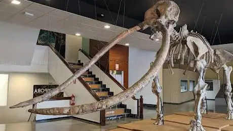 Photo de Museo de Ciudad Real