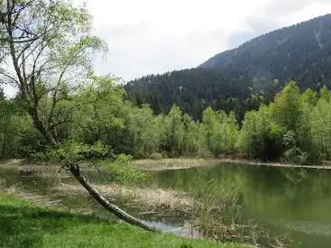 Photo de Boot Camp Nature