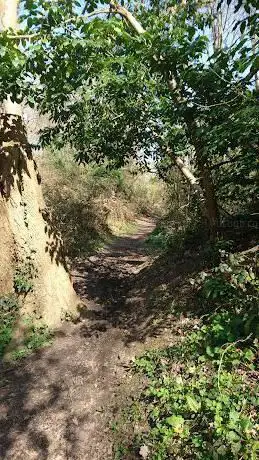 Photo de Skelly's Wood