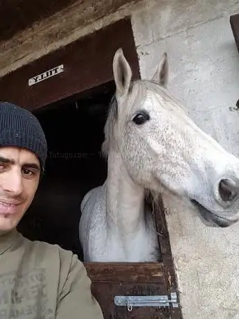 Photo de Hooves & Paws Equestrian Centre