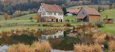 SchlÃ¶ssle von Effringen