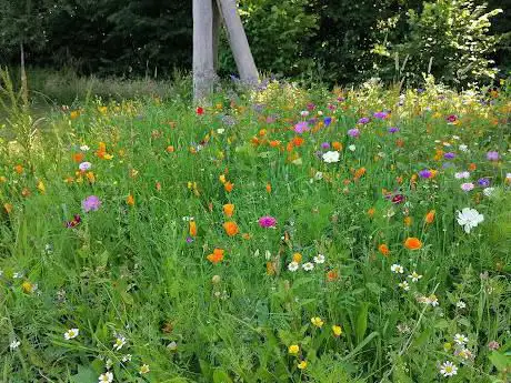 Kessel speeltuin