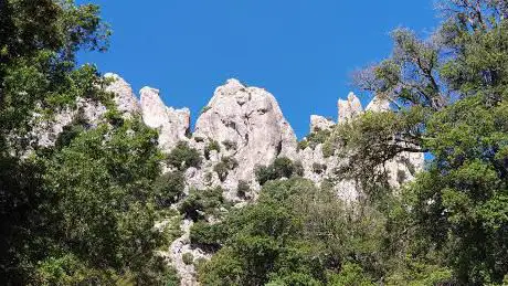 Tuònes