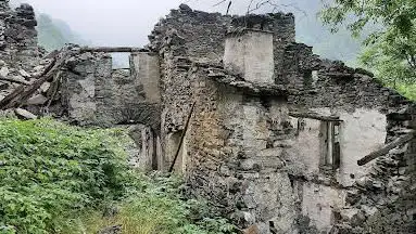 Narbona di Castelmagno (L'Arbouna)
