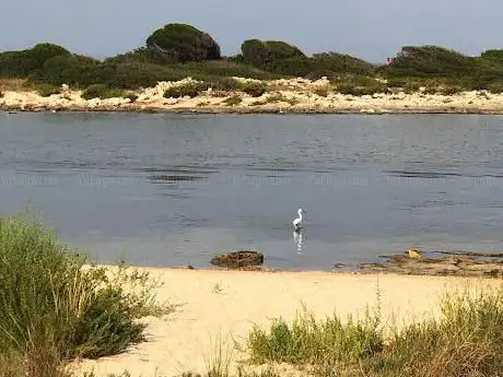 Photo de Lido of the Heron