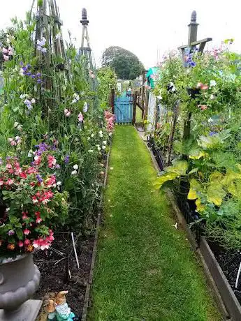 Handy Cross Allotments