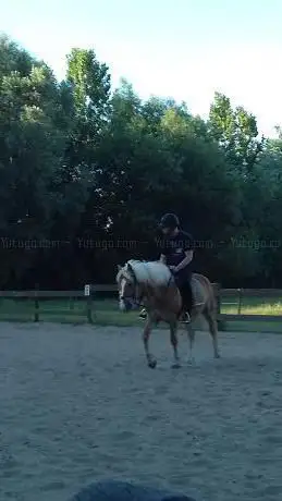 Photo de Manege De Welden Driesch - Bisschop Rita