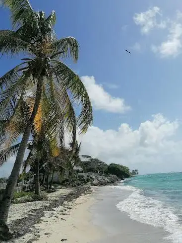 La Plage de cimitiere