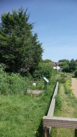 Photo de Mendip Wildlife Garden